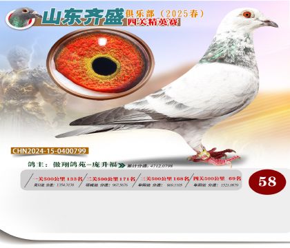 四關(guān)鴿王精英賽58名