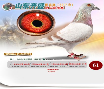四關(guān)鴿王精英賽61名