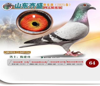 四關(guān)鴿王精英賽64名