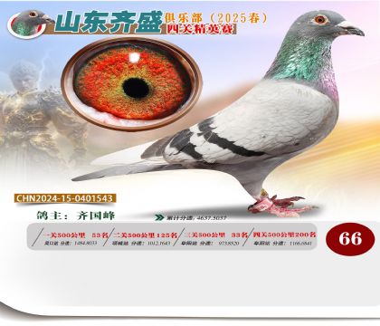 四關(guān)鴿王精英賽66名