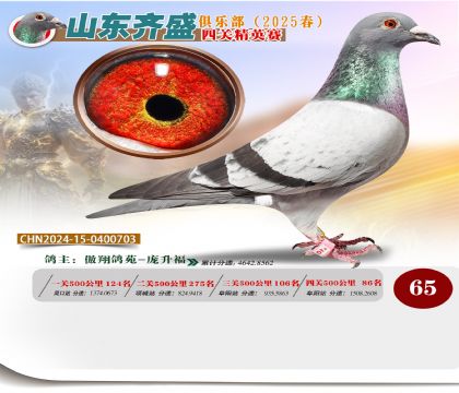四關(guān)鴿王精英賽65名