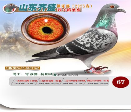 四關(guān)鴿王精英賽67名