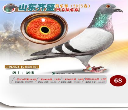 四關(guān)鴿王精英賽68名