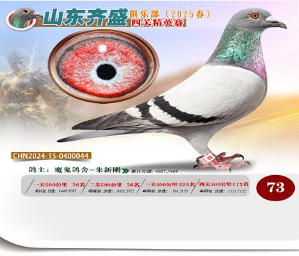 四關(guān)鴿王精英賽73名