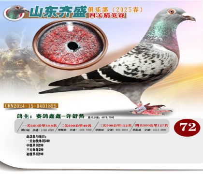 四關(guān)鴿王精英賽72名