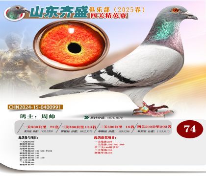 四關(guān)鴿王精英賽74名