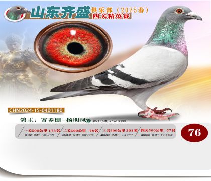 四關(guān)鴿王精英賽76名