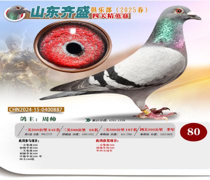 四關(guān)鴿王精英賽80名
