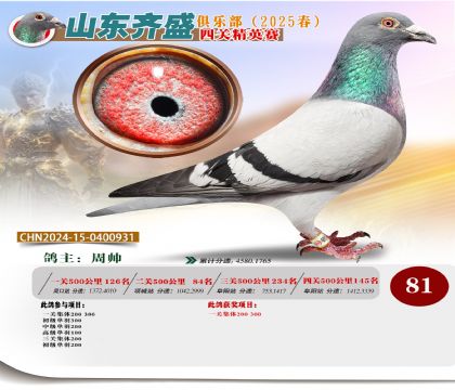 四關(guān)鴿王精英賽81名