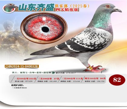 四關(guān)鴿王精英賽82名