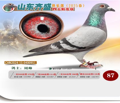 四關(guān)鴿王精英賽87名