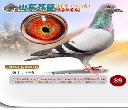 四關(guān)鴿王精英賽89名