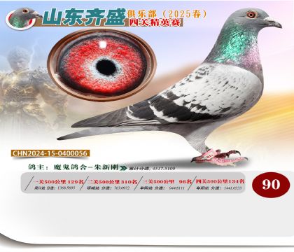四關(guān)鴿王精英賽90名