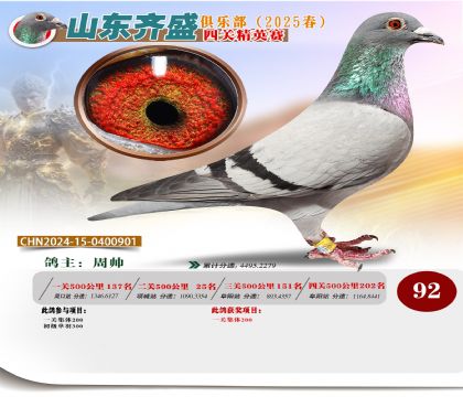 四關(guān)鴿王精英賽92名