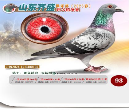 四關(guān)鴿王精英賽93名