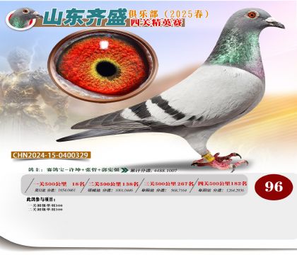 四關(guān)鴿王精英賽96名