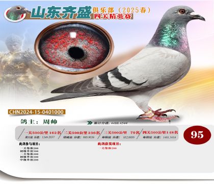 四關(guān)鴿王精英賽95名