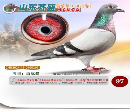 四關(guān)鴿王精英賽97名