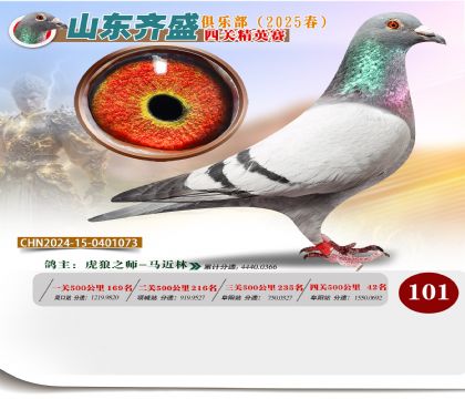 四關(guān)鴿王精英賽101名