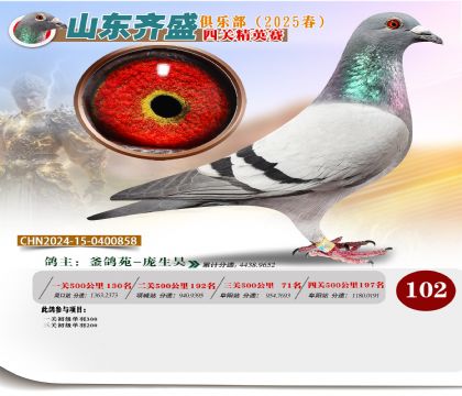 四關(guān)鴿王精英賽102名