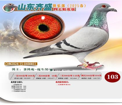 四關(guān)鴿王精英賽103名