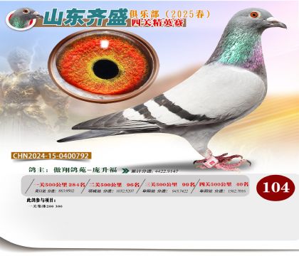 四關(guān)鴿王精英賽104名