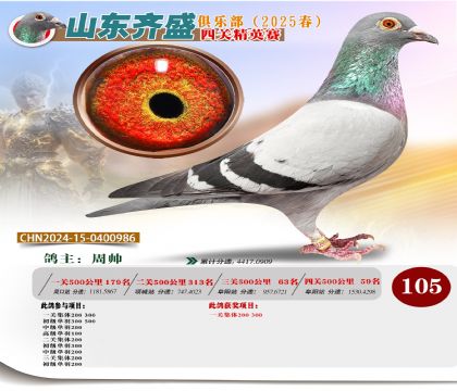 四關(guān)鴿王精英賽105名