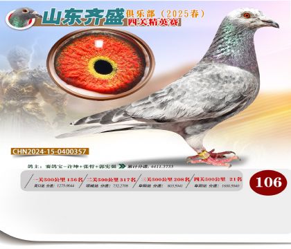 四關(guān)鴿王精英賽106名