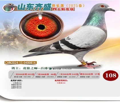 四關(guān)鴿王精英賽108名