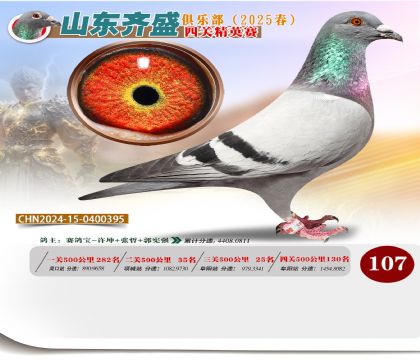 四關(guān)鴿王精英賽107名