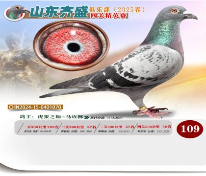 四關(guān)鴿王精英賽109名