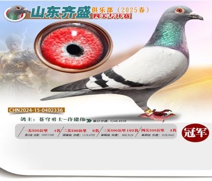四關(guān)鴿王專環(huán)賽冠軍