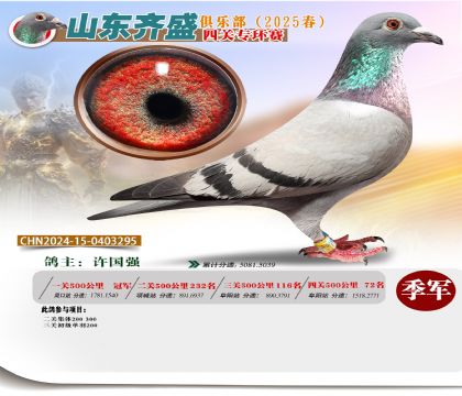 四關(guān)鴿王專環(huán)賽季軍