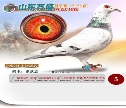 四關(guān)鴿王專環(huán)賽5名