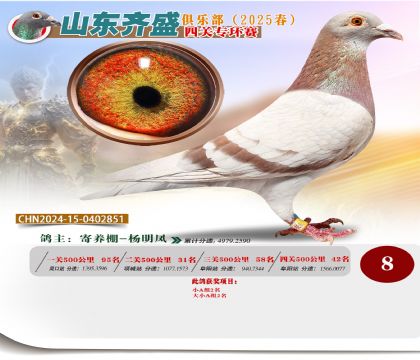 四關(guān)鴿王專環(huán)賽8名