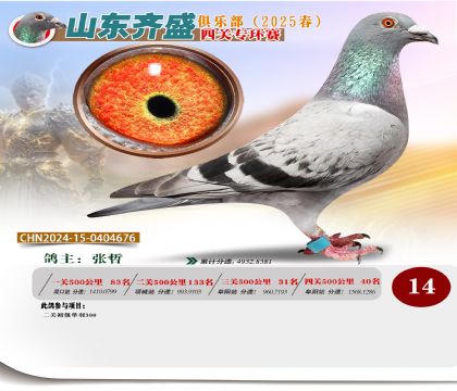 四關(guān)鴿王專環(huán)賽14名