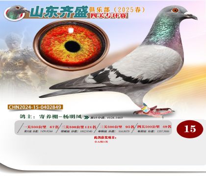 四關(guān)鴿王專環(huán)賽15名