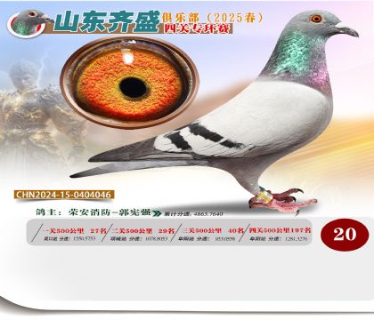 四關(guān)鴿王專環(huán)賽20名
