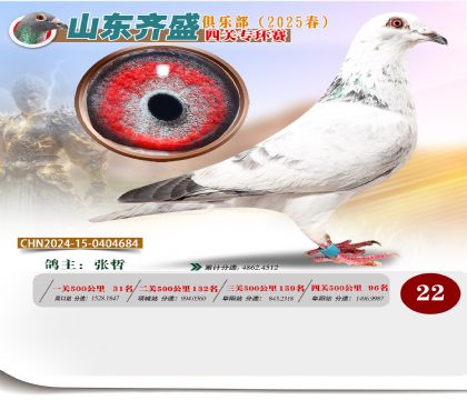 四關(guān)鴿王專環(huán)賽22名
