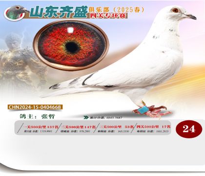 四關(guān)鴿王專環(huán)賽24名