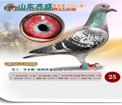 四關(guān)鴿王專環(huán)賽25名