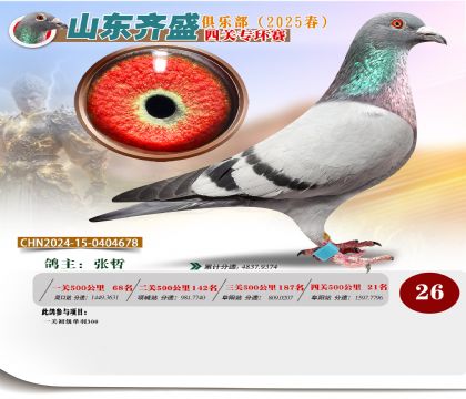 四關(guān)鴿王專環(huán)賽26名