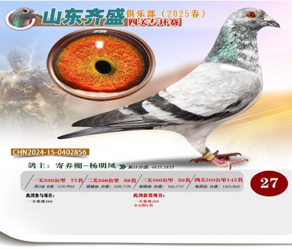 四關(guān)鴿王專環(huán)賽27名