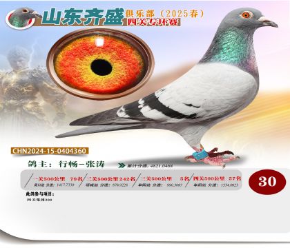 四關(guān)鴿王專環(huán)賽30名