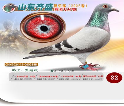 四關(guān)鴿王專環(huán)賽32名
