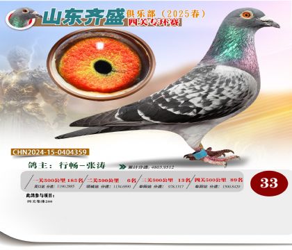 四關(guān)鴿王專環(huán)賽33名