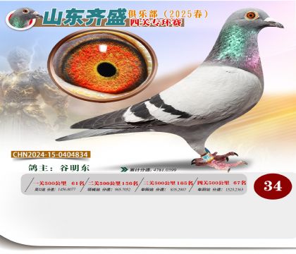 四關(guān)鴿王專環(huán)賽34名