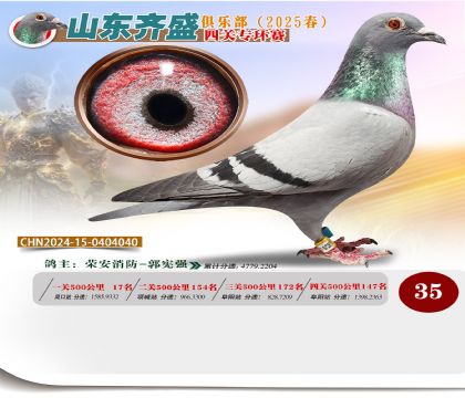 四關(guān)鴿王專環(huán)賽35名