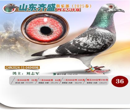 四關(guān)鴿王專環(huán)賽36名