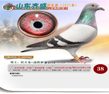 四關(guān)鴿王專環(huán)賽38名